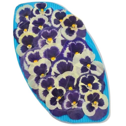 Виола обезвоженная "Сиреневый закат" Плоская 20 шт 