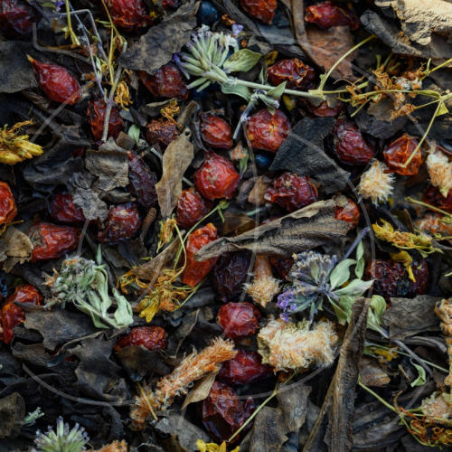 Чай листовой Травники Сибири "Шаман" 50 г 