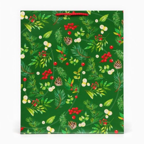 Пакет бумажный "Веточки" 26х32х12 см 10544109