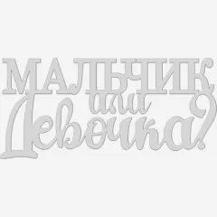 Топпер декоративный акриловый "Мальчик или девочка" Серебро 10,5х4 см ТСК413